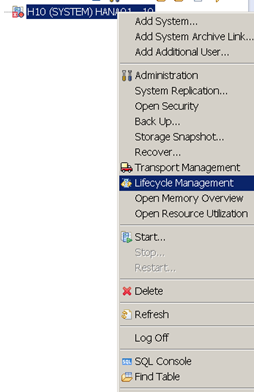 SAP HANA Lifecycle Manager install